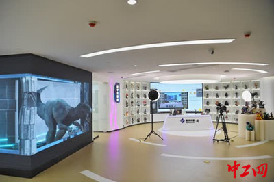 重庆南岸区实现5G全覆盖，网络技术服务强力驱动智能制造新飞跃