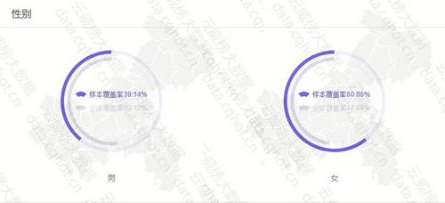 云威榜 重庆互联网商务服务代理记账行业优秀案例分析报告（第470期）
